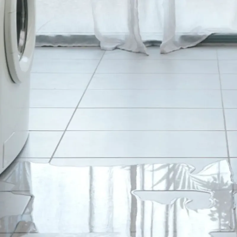Appliance Leak Cleanup in Lake Dallas, TX