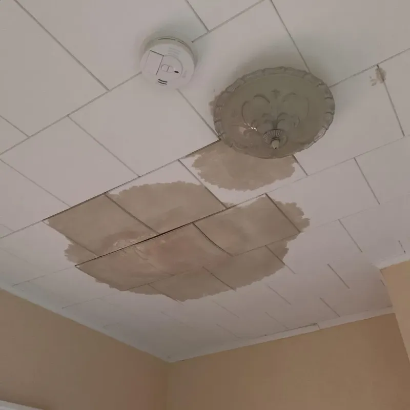 Ceiling Water Damage Repair in Lake Dallas, TX