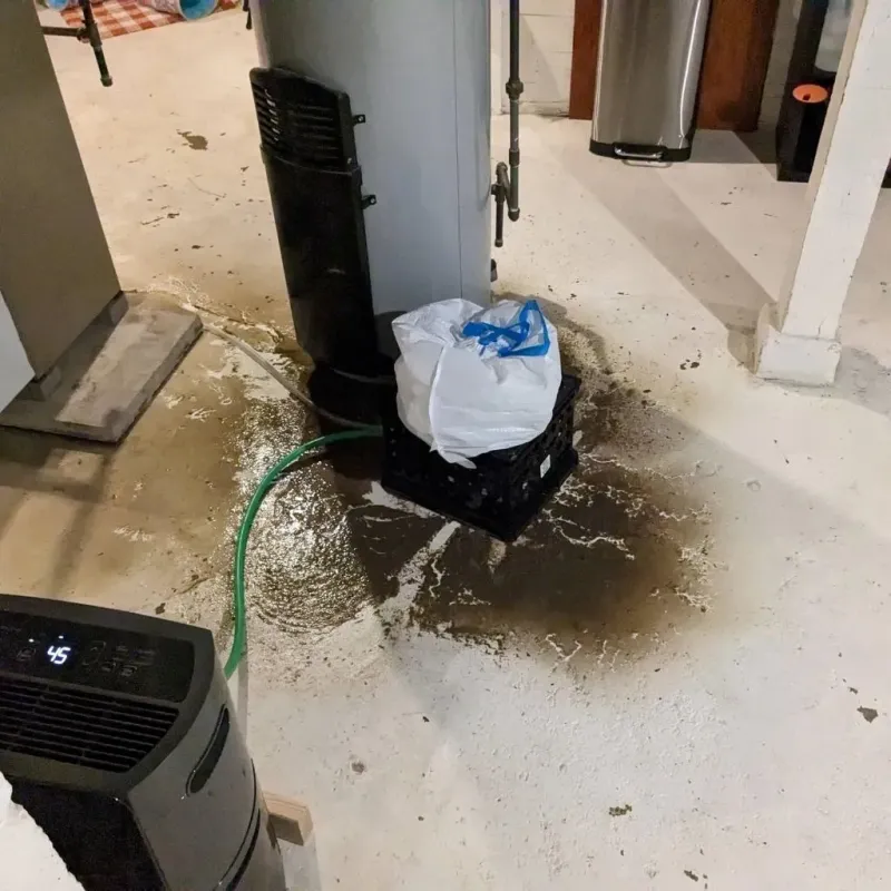 Sewage Backup Cleanup Service in Lake Dallas, TX